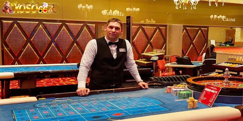 dealer là gì